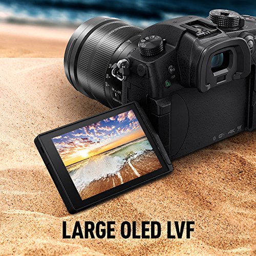 PANASONIC LUMIX GH5 4K Digital Camera, 20.3 Megapixel Mirrorless Camera with Digital Live MOS Sensor, 5-Axis Dual I.S. 2.0, 4K 4:2:2 10-Bit Video, Full-Size HDMI Out, 3.2-Inch LCD, DC-GH5 (Black)
