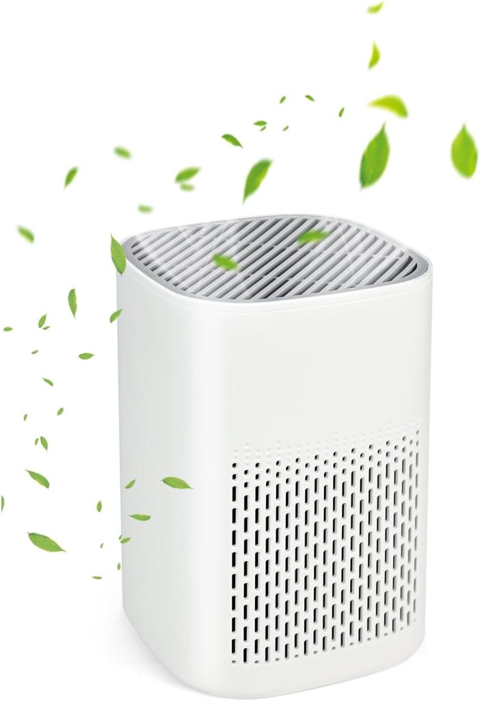 HEPA Air Purifier for bedroom - 3 Stage Small Air Purifier with H13 Filter for Smoke Dust Pet Dander Odors, USB Powered Quit Air Cleaner for Home Office & Baby Room