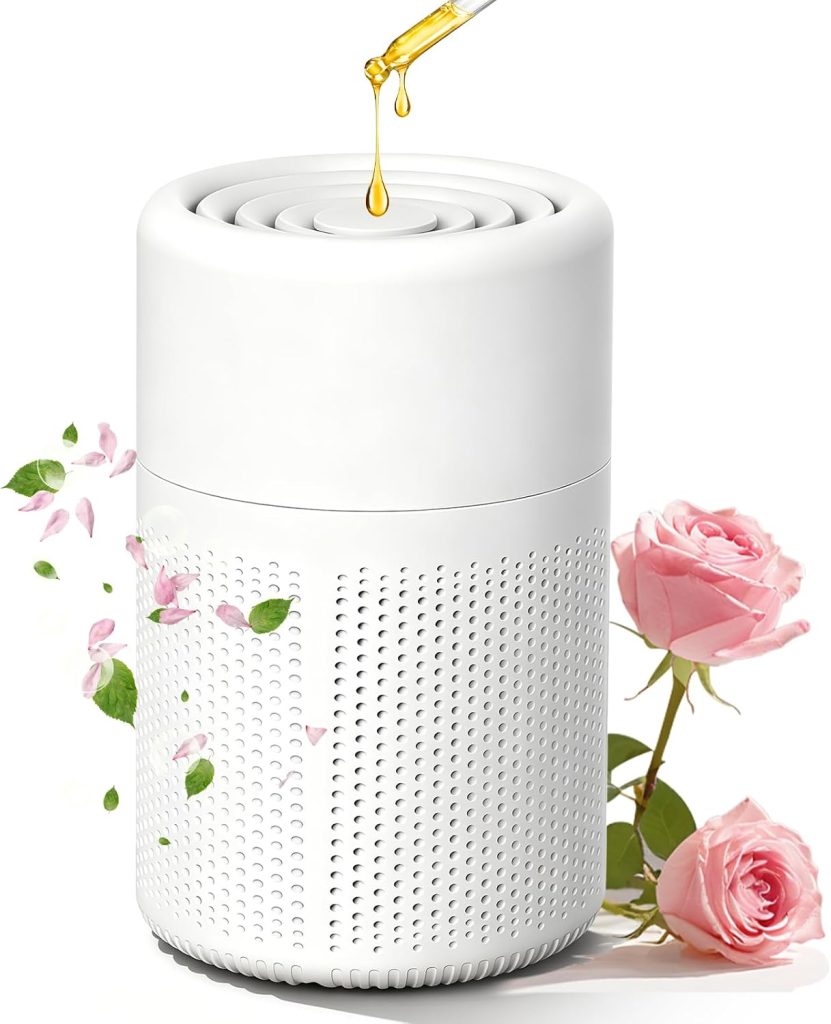 Air Purifier for Home, Quiet Small Air Cleaner with H13 HEPA Filter & Fragrance Sponge, Portable Silent Smoke Remover for Bedroom, Office, Smoke, Allergies, Dust, Odor, Pet Dander