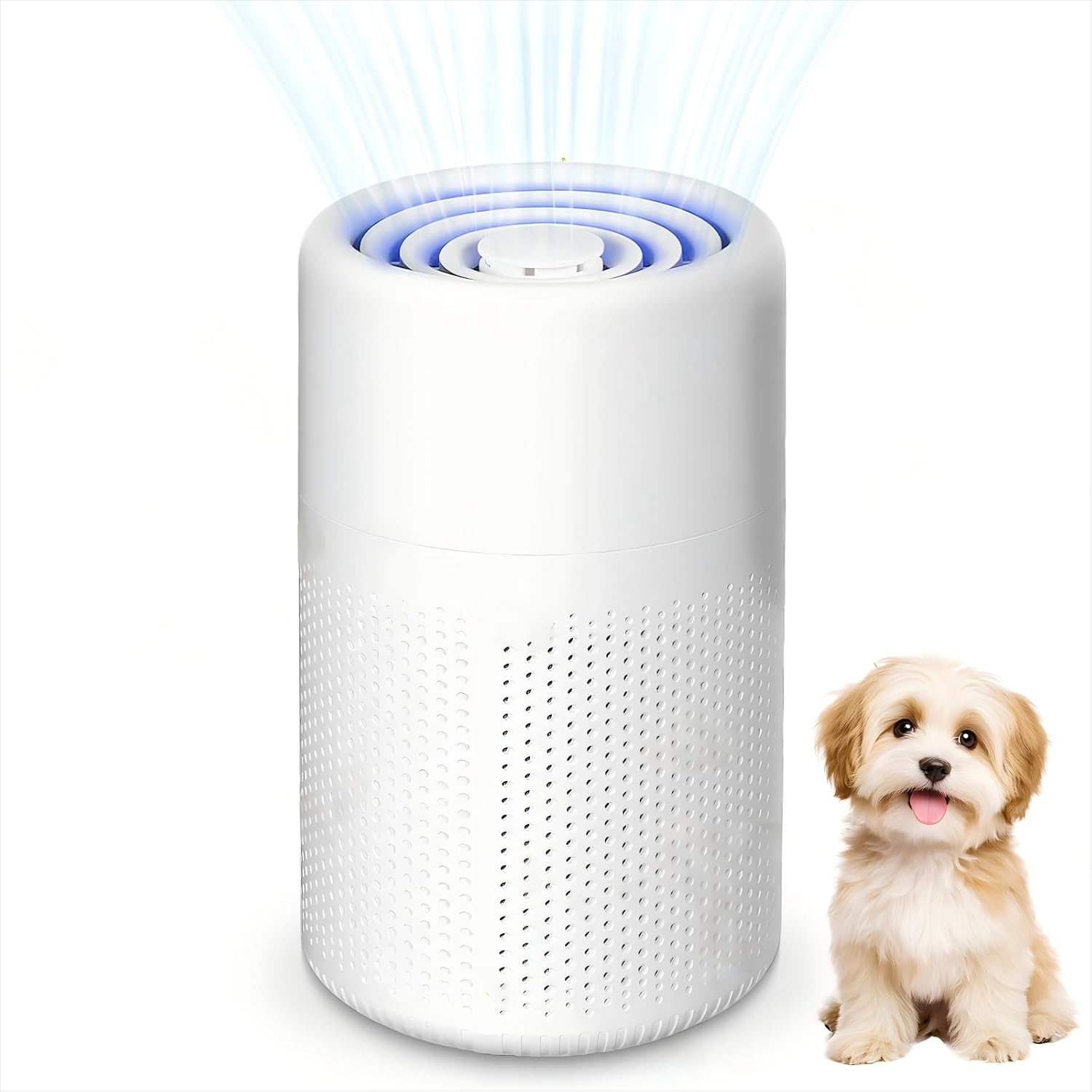 HEPA Air Purifier, 5W, USB Powered, Portable