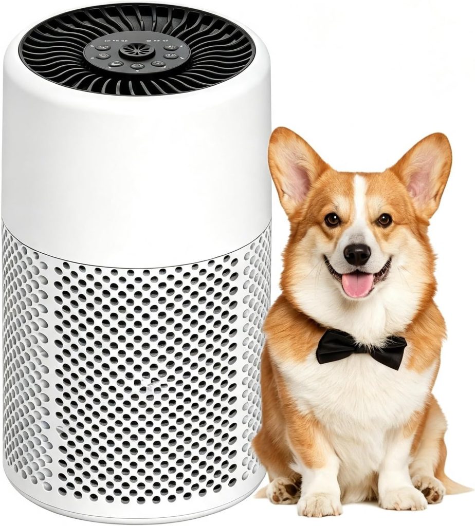 CHIVALZ HEPA Air Purifier for Bedroom,24dB Quiet,White,1Pack+3 Modes