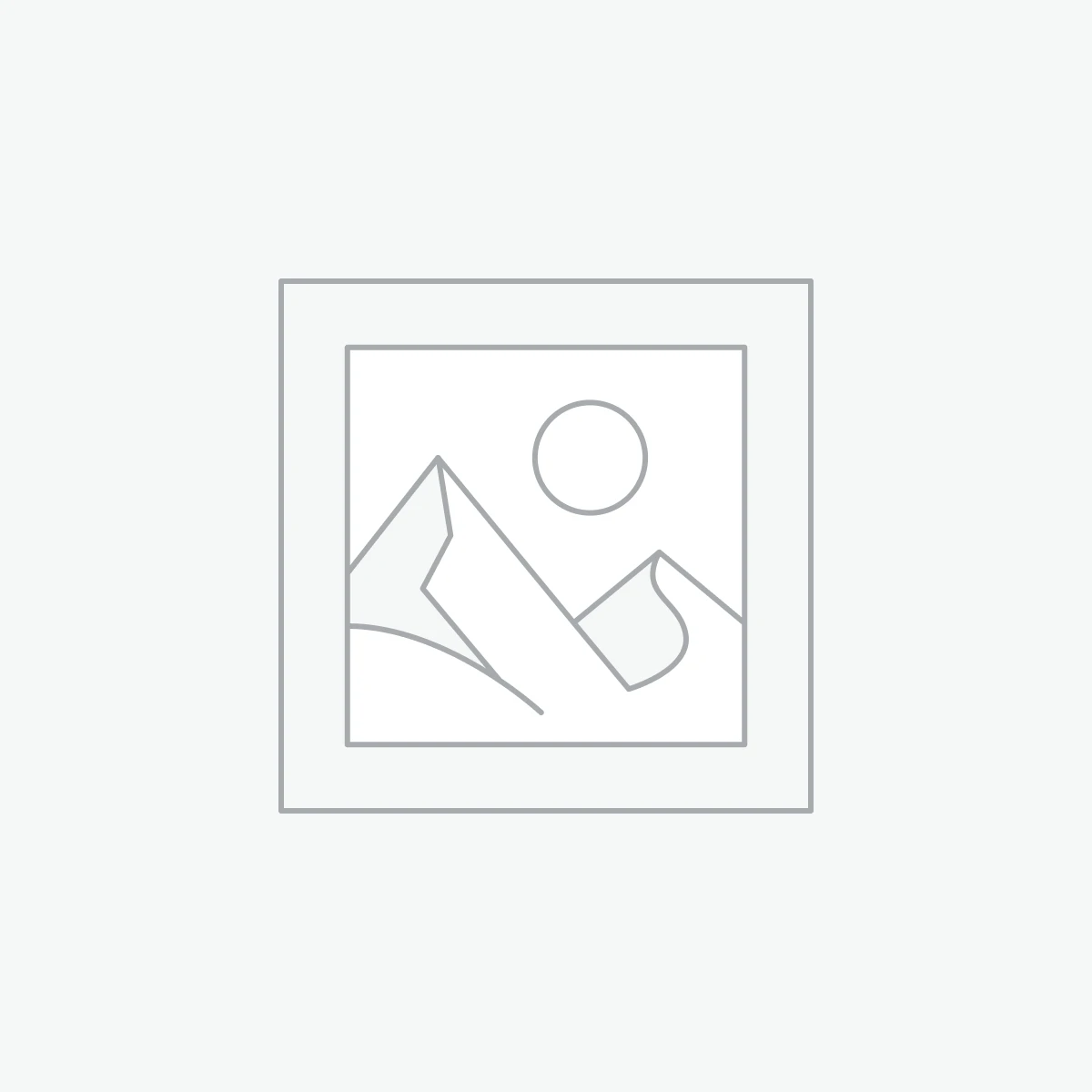 Chromebooks